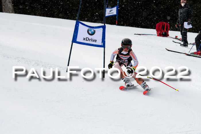 Ziener Kids Race Cross U12  Reg III + Ziener Cup WF