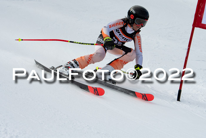 Ziener Kids Race Cross U12  Reg III + Ziener Cup WF