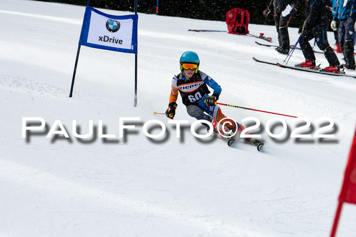 Ziener Kids Race Cross U12  Reg III + Ziener Cup WF