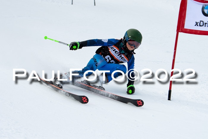 Ziener Kids Race Cross U12  Reg III + Ziener Cup WF