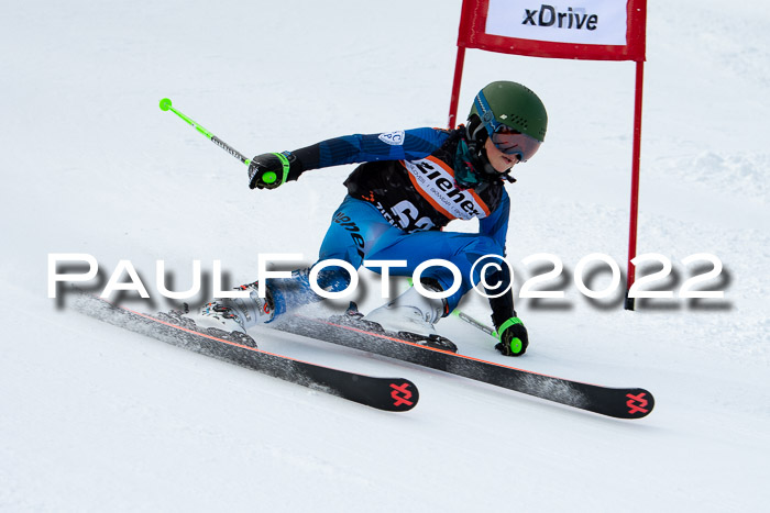 Ziener Kids Race Cross U12  Reg III + Ziener Cup WF