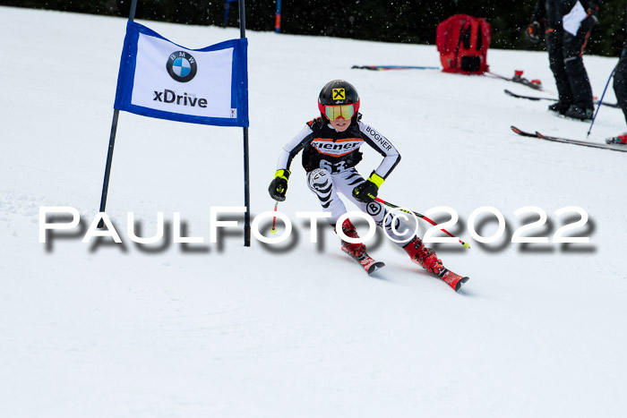 Ziener Kids Race Cross U12  Reg III + Ziener Cup WF