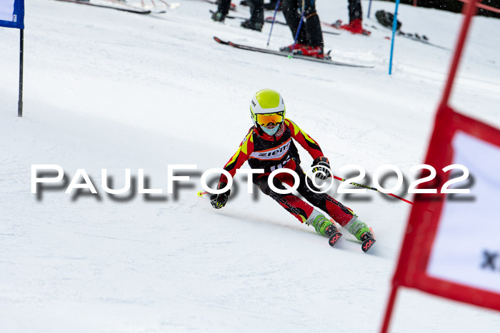 Ziener Kids Race Cross U12  Reg III + Ziener Cup WF