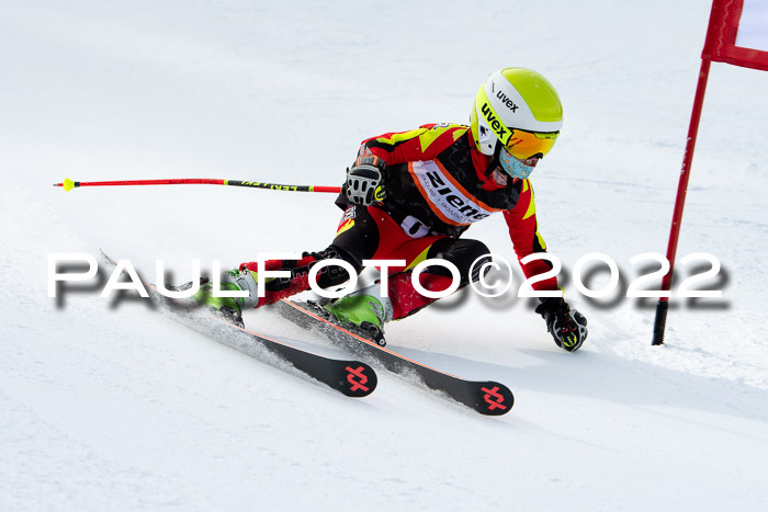 Ziener Kids Race Cross U12  Reg III + Ziener Cup WF