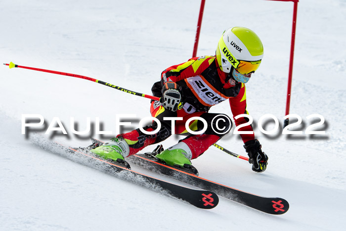 Ziener Kids Race Cross U12  Reg III + Ziener Cup WF