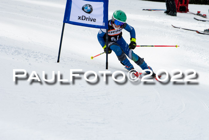 Ziener Kids Race Cross U12  Reg III + Ziener Cup WF