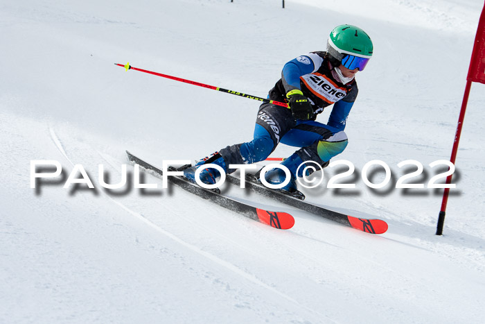 Ziener Kids Race Cross U12  Reg III + Ziener Cup WF