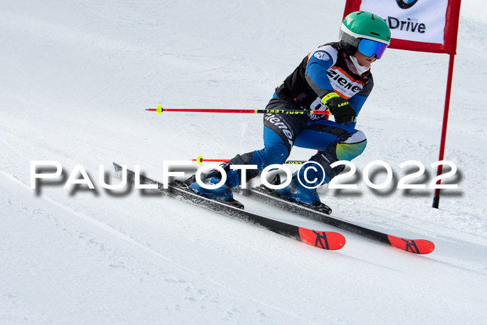 Ziener Kids Race Cross U12  Reg III + Ziener Cup WF