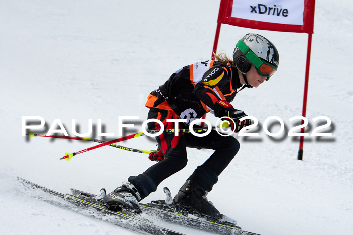 Ziener Kids Race Cross U12  Reg III + Ziener Cup WF