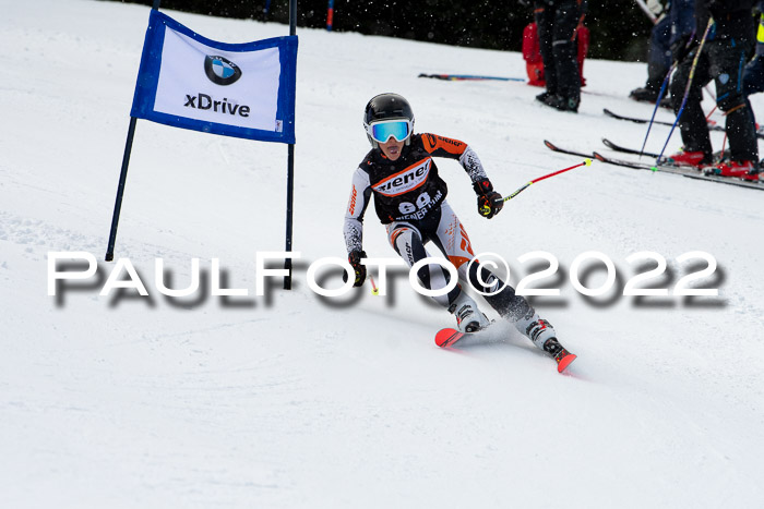 Ziener Kids Race Cross U12  Reg III + Ziener Cup WF