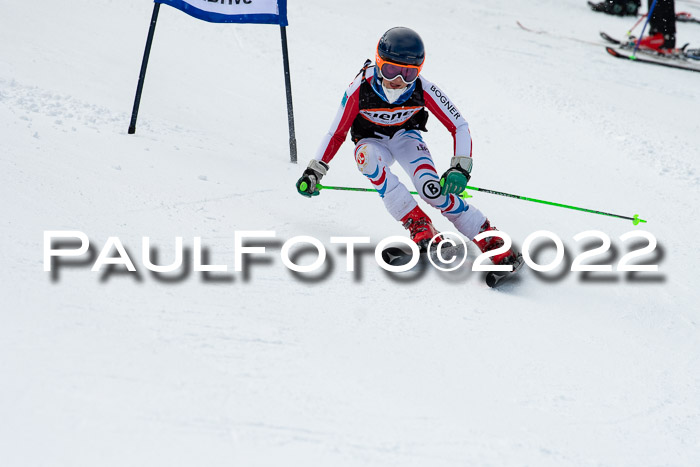 Ziener Kids Race Cross U12  Reg III + Ziener Cup WF