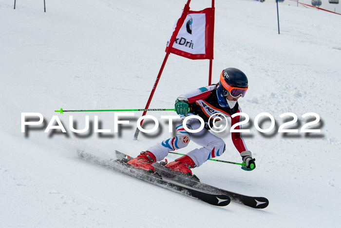 Ziener Kids Race Cross U12  Reg III + Ziener Cup WF