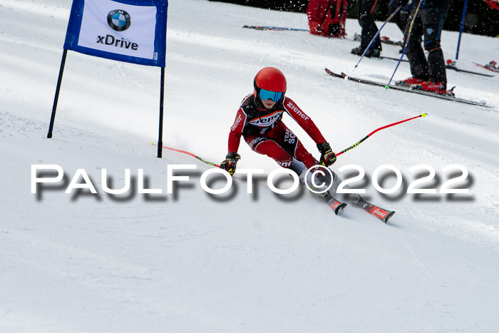 Ziener Kids Race Cross U12  Reg III + Ziener Cup WF