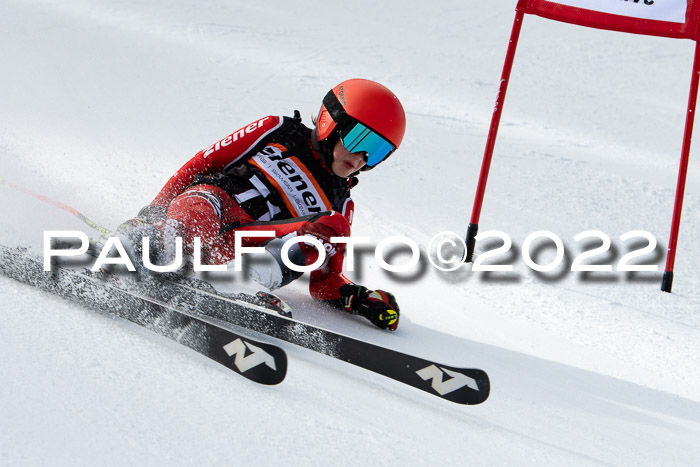 Ziener Kids Race Cross U12  Reg III + Ziener Cup WF