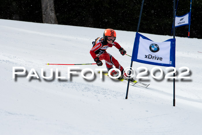 Ziener Kids Race Cross U12  Reg III + Ziener Cup WF