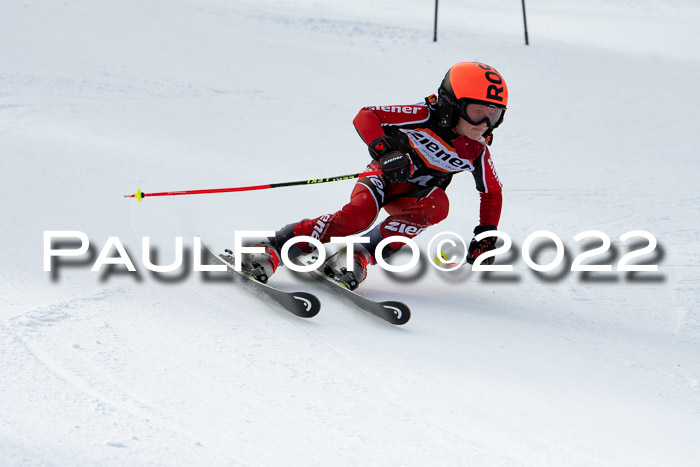 Ziener Kids Race Cross U12  Reg III + Ziener Cup WF