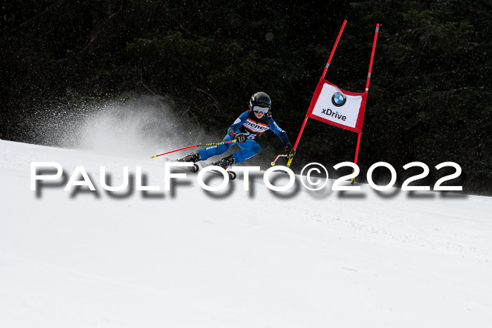 Ziener Kids Race Cross U12  Reg III + Ziener Cup WF