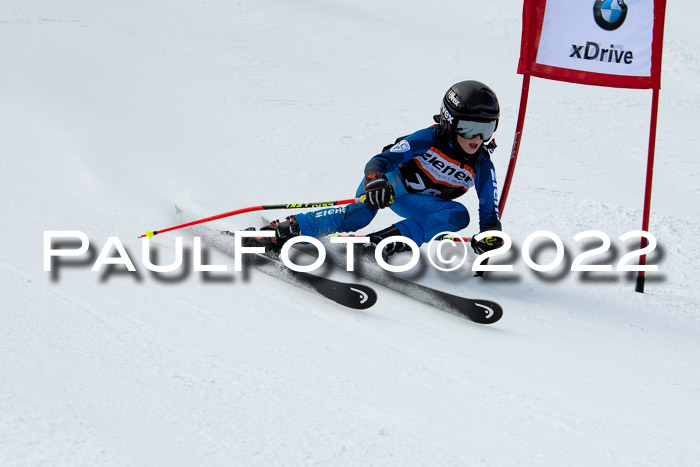 Ziener Kids Race Cross U12  Reg III + Ziener Cup WF