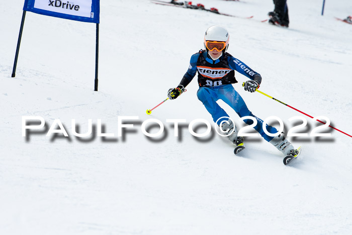 Ziener Kids Race Cross U12  Reg III + Ziener Cup WF