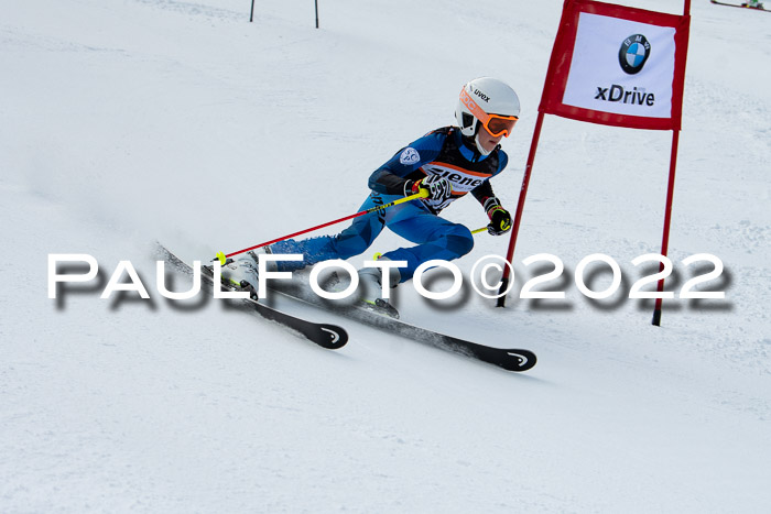 Ziener Kids Race Cross U12  Reg III + Ziener Cup WF