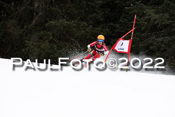 Ziener Kids Race Cross U12  Reg III + Ziener Cup WF