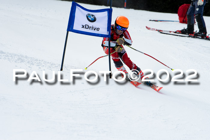 Ziener Kids Race Cross U12  Reg III + Ziener Cup WF