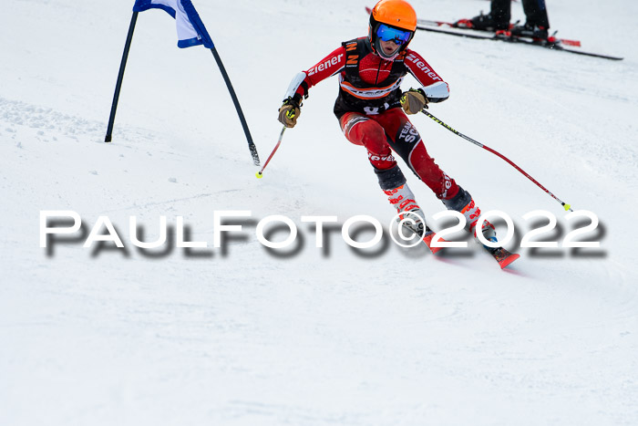 Ziener Kids Race Cross U12  Reg III + Ziener Cup WF