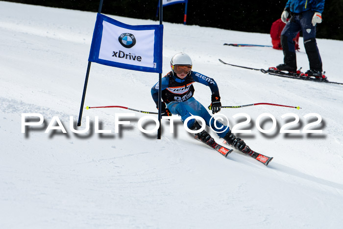 Ziener Kids Race Cross U12  Reg III + Ziener Cup WF