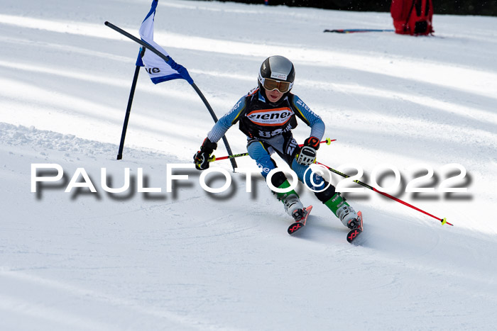 Ziener Kids Race Cross U12  Reg III + Ziener Cup WF