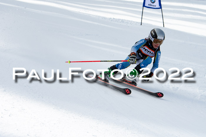 Ziener Kids Race Cross U12  Reg III + Ziener Cup WF