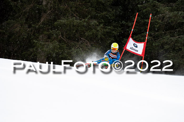 Ziener Kids Race Cross U12  Reg III + Ziener Cup WF