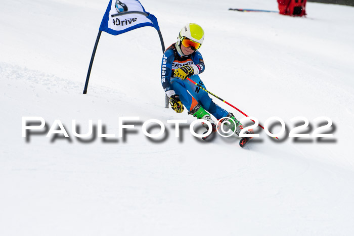 Ziener Kids Race Cross U12  Reg III + Ziener Cup WF