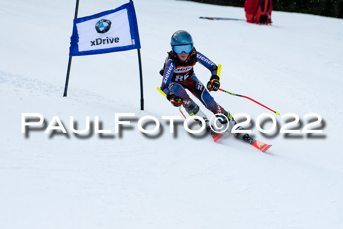 Ziener Kids Race Cross U12  Reg III + Ziener Cup WF