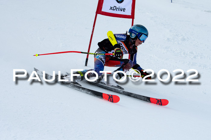 Ziener Kids Race Cross U12  Reg III + Ziener Cup WF