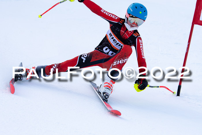 Ziener Kids Race Cross U12  Reg III + Ziener Cup WF