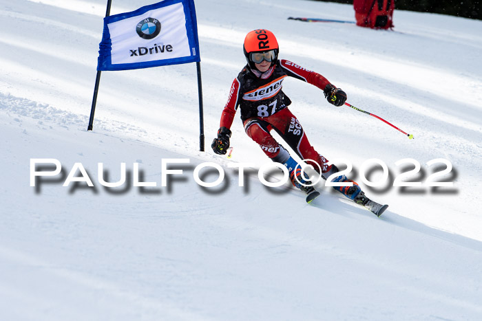 Ziener Kids Race Cross U12  Reg III + Ziener Cup WF