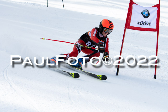 Ziener Kids Race Cross U12  Reg III + Ziener Cup WF