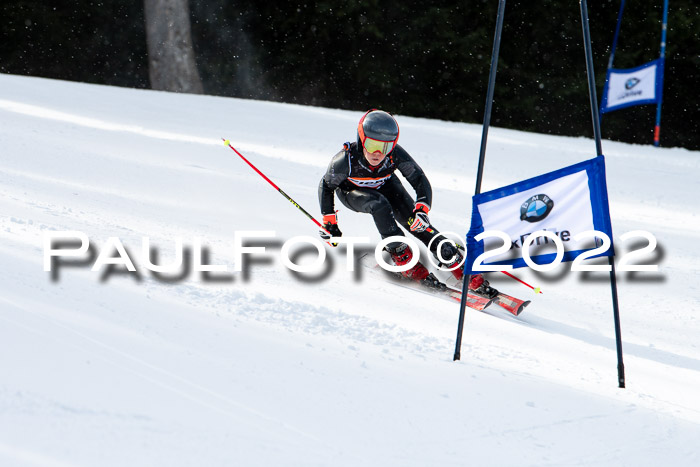 Ziener Kids Race Cross U12  Reg III + Ziener Cup WF