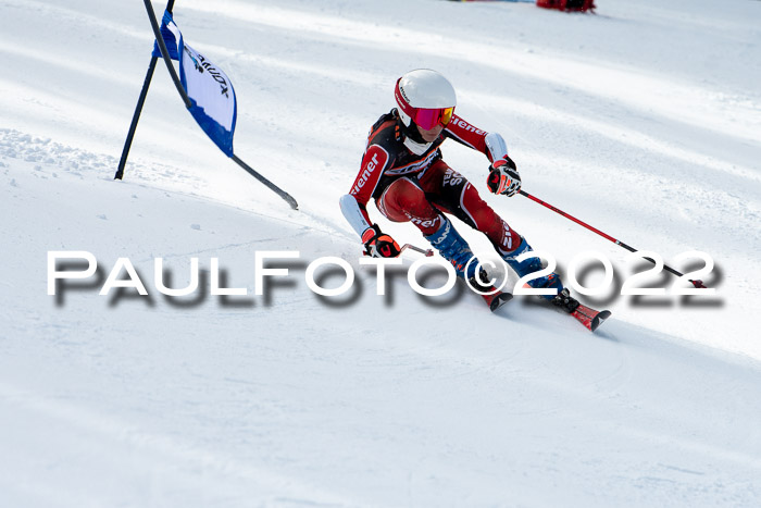 Ziener Kids Race Cross U12  Reg III + Ziener Cup WF