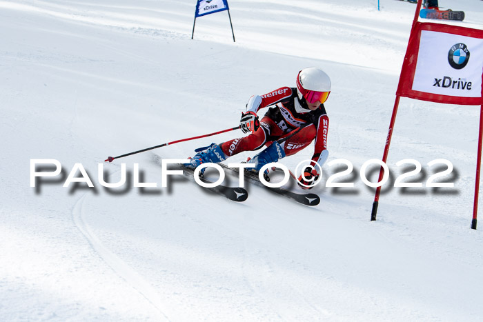 Ziener Kids Race Cross U12  Reg III + Ziener Cup WF