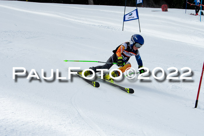 Ziener Kids Race Cross U12  Reg III + Ziener Cup WF