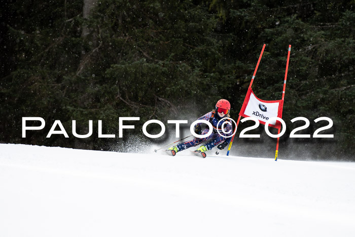 Ziener Kids Race Cross U12  Reg III + Ziener Cup WF