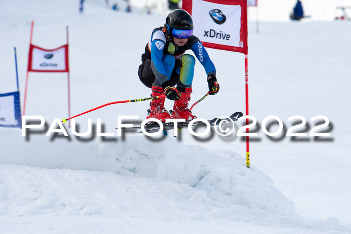 Ziener Kids Race Cross U12  Reg III + Ziener Cup WF