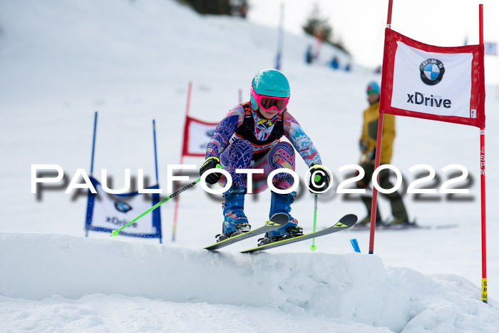 Ziener Kids Race Cross U12  Reg III + Ziener Cup WF