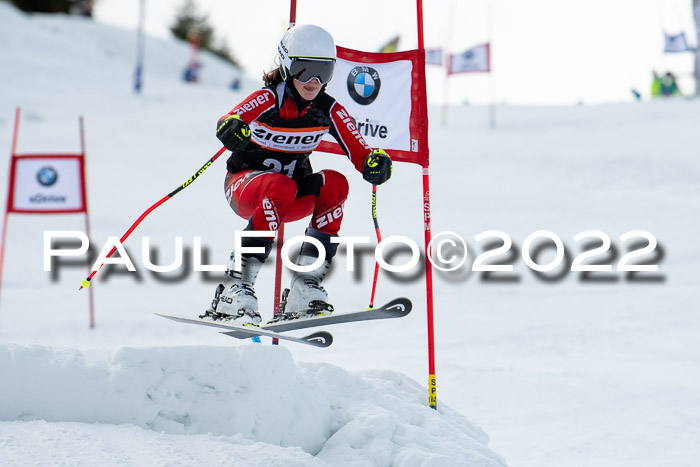 Ziener Kids Race Cross U12  Reg III + Ziener Cup WF