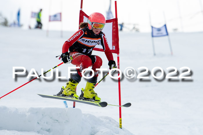 Ziener Kids Race Cross U12  Reg III + Ziener Cup WF