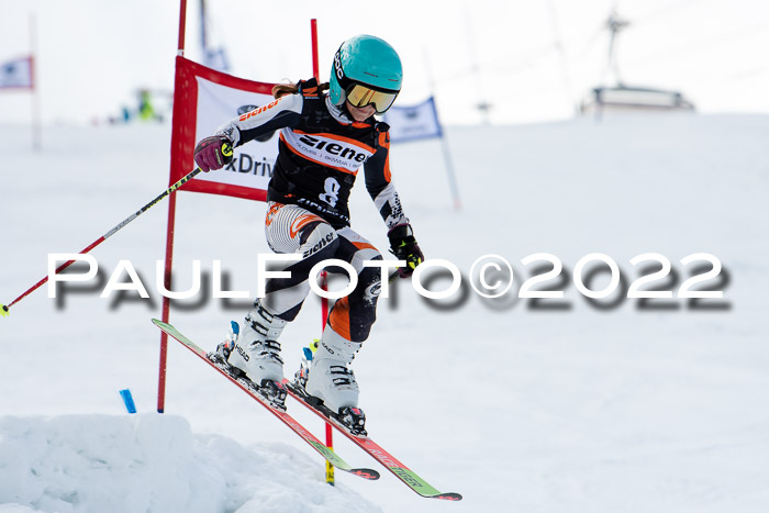 Ziener Kids Race Cross U12  Reg III + Ziener Cup WF