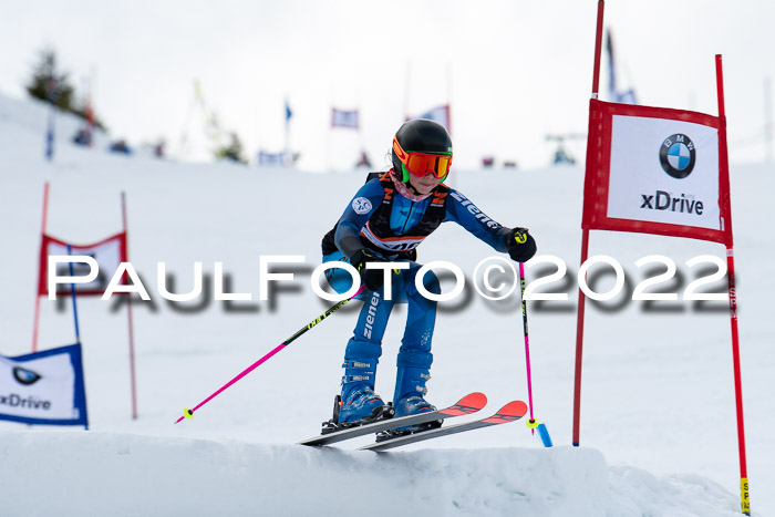 Ziener Kids Race Cross U12  Reg III + Ziener Cup WF