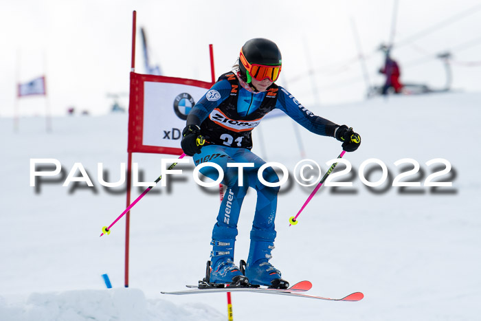 Ziener Kids Race Cross U12  Reg III + Ziener Cup WF