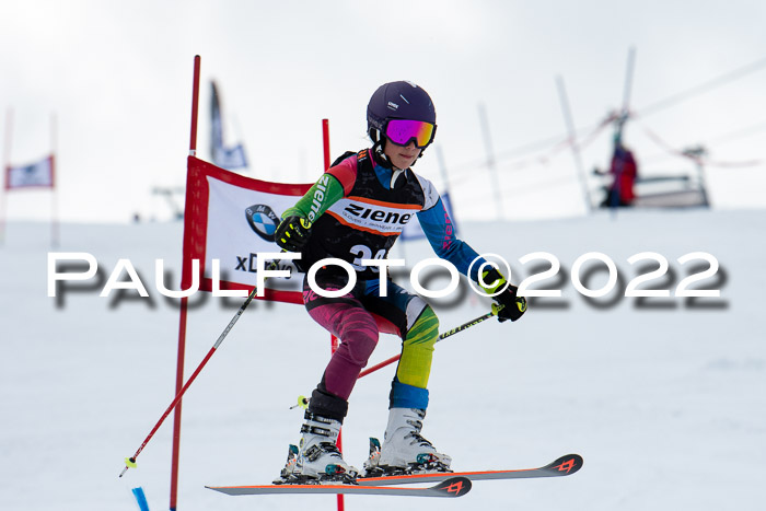 Ziener Kids Race Cross U12  Reg III + Ziener Cup WF